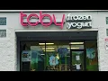 History Of tcby frozen yogurt