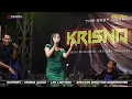 Download Lagu Santri Pekok ~ Ersa Amelia Live Medalem  // Krisna Nada - Krisna Audio - LPK Lighting