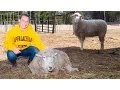 Service-Learning at App State an Alternative to Spring Break