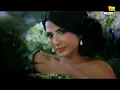 Shiraz - Layalik / شيراز - لياليك