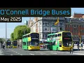 O Connell Bridge Buses May 2025