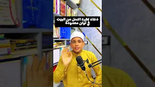 دعاء لطرد النمل من البيت في ثواني معدودة  دندنها