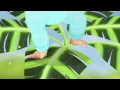 Baby Jake | Yacki Yacki Song