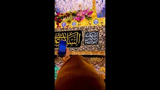مسلم الوائلي زينب ردت من الشام  دندنها