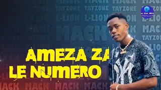 L LION MICK TAYZONE NUMÉRO Vidéo Lyrics Nouveauté Gasy 2025 YOU YES MUSIC 