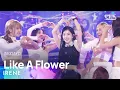 Download Lagu IRENE (아이린) - Like A Flower @인기가요 inkigayo 20241215