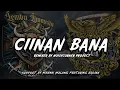 Download Lagu JINGLE TERBARU LEMBU LIMOUSIN - CIINAN BANA 🔥