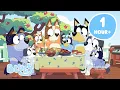 Lagu 🔴LIVE: Bluey's BBQ Fun ☀️ 💙 | Sunny Days Out with the Family | Fun with Food | Bluey