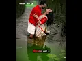 Download Lagu solai kiligal rendu song WhatsApp status 💕 vithyasri edits 💕 Tamil old Melody song WhatsApp status 💕
