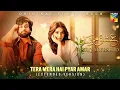 Download Lagu Tera Mera Hai Piyar Amar - Extended Version - Ahmed Jahanzeb - Hafeez Noonari