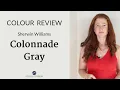 Colour Review Sherwin Williams Colonnade Gray SW7641