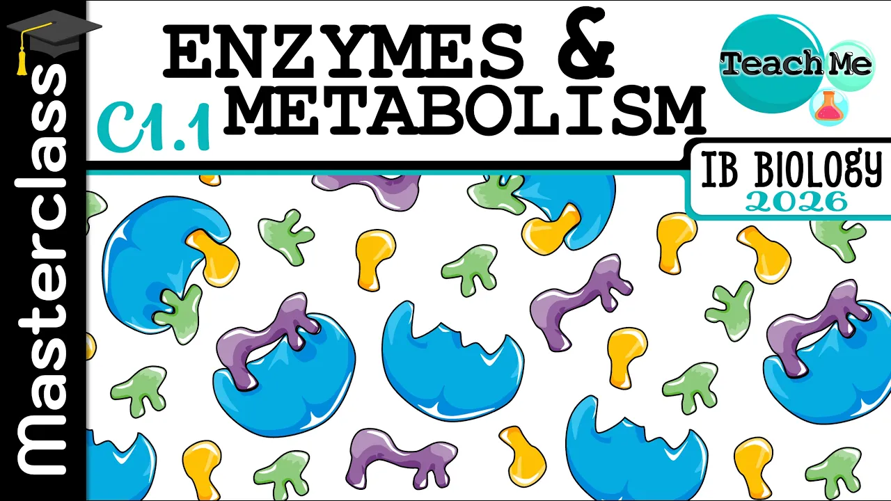(C1.1) - Enzymes & Metabolism - IB Biology (SL/HL)