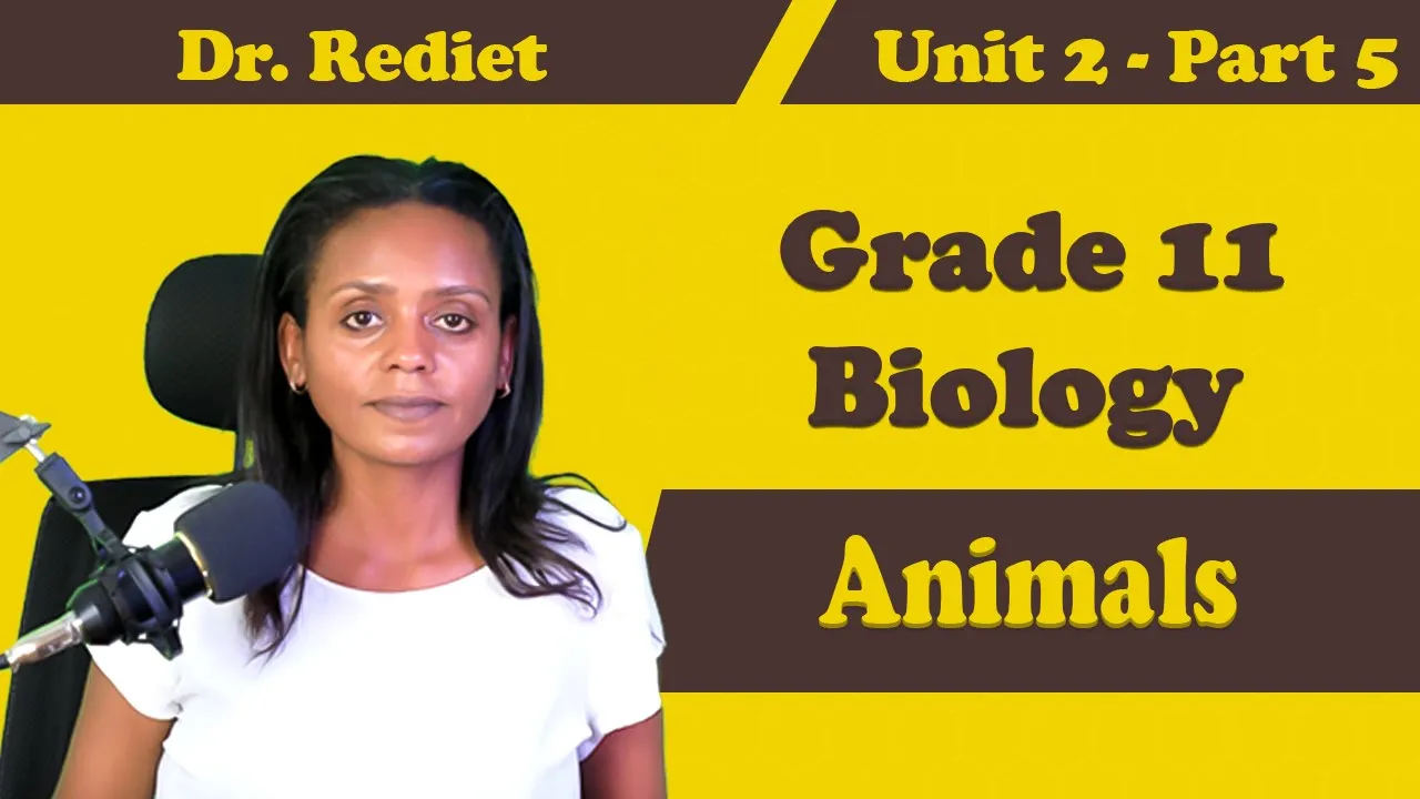 Grade 11 Biology Unit 2 Animals  Part 5| Dr. Rediet