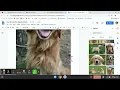 Using the Explore Button in Google Docs