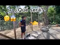 Download Lagu 🔴Willy le prometió algo a la vecina de Karlita😱😳