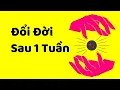 Lagu Cách Thay Đổi Toàn Bộ Cuộc Sống Trong 1 Tuần (Nghiêm Túc Thay Đổi Vận Mệnh)