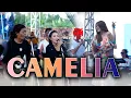 Download Lagu CAMELIA -  NEW MONATA LIVE PATI