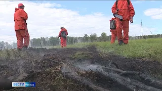 Омичи смогут самостоятельно выявлять и пресекать нарушения лесного законодательства