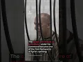 Justice at last Syrians react to Assad death sentence