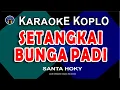 Download Lagu SETANGKAI BUNGA PADI - Karaoke Koplo Nada Rendah (Versi Wanita) | SANTA HOKY