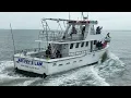 Dolphin Watch Tour In South Padre Island TX April 25 2023