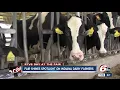 Six generation dairy farm shares secrets from Whiteland