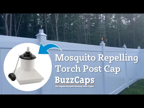 BuzzCap 5