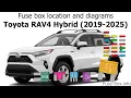 Fuse box location and diagrams Toyota RAV4 Hybrid 2019-2025