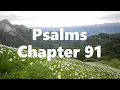 The Book of Psalms Chapter 91 - New King James Version NKJV