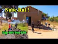 Download Lagu Quang Dũng || Từ Nông Nghiệp Cho Đến Xây Dựng Đang Gấp Rút Hoàn Thành