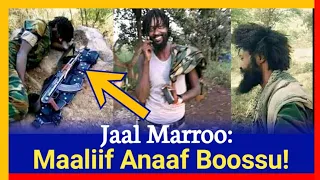 Jaal Marron Walaloo Abiyy F Bareesse Erge Jira Kunoo Caqasaa Maalif Anaaf Boossu Du Eera Jette 