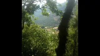 منير حماده عتابات لحدو سلوم روعة دندنها