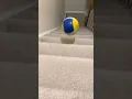 Download Lagu Welke beltoon vind je het leukst? #balls #dropping #viral #trending #shortvideo