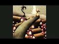 Nokiaa & Nofeels - Hertog