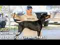 UKC Hunting Ops Podcast Ep 143 - Coonhounds 2025 All Time Top Reproducers Update Part 1