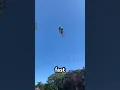 How to Do Your First Backflip