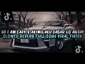 Download Lagu DJ I AM LADY X AKIMILAKU DASAR LO ANJAY SLOWED REVERB FULL SONG VIRAL TIKTOK 2025