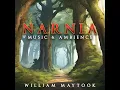 In the Narnia's Forests