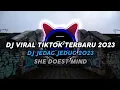 Download Lagu DJ SHE DOEST MIND MANGKENE VIRAL TIKTOK FULL BASS JEDAG JEDUG TERBARU 2023
