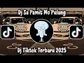 Download Lagu DJ SA PAMIT MO PULANG - DJ VIRAL TIKTOK TERBARU 2025 YANG KALIAN CARI!!
