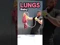 Download Lagu Inflating Lungs #biology #class