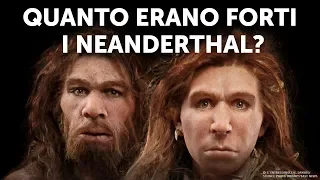 chi vincerebbe umani moderni vs neanderthal