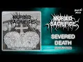 Download Lagu Morbid Sacrifice - Severed Death (Álbum 2002) MP3