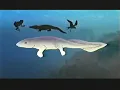 NOVA The Missing Link 2002 Hunting the Creature Between Fins and Feet