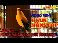 Download Lagu KEPODANG GACOR || SUARA PANCINGAN DAN MASTERAN KEPODANG MACET BUNYI || SUSAH BUNYI || DURASI PANJANG