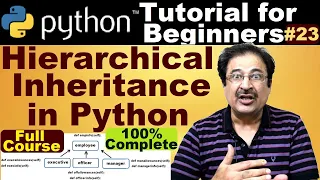 hierarchical inheritance in python example python coding tutorial for beginners