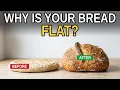 7 ANTI-FLAT SOURDOUGH BREAD TIPS massive oven spring