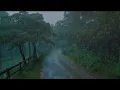 Gentle Rain on a Deserted Road | Heavy Rain Sounds for Insomnia Relief