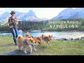 Download Lagu Reunited with brother, who was raised by the same breeder, for the first time in two years [4K]