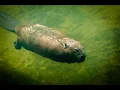 Blowing up Beaver Dam with Tannerite